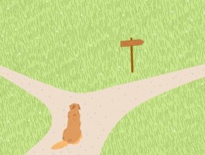 愛犬の未来を左右する分かれ道