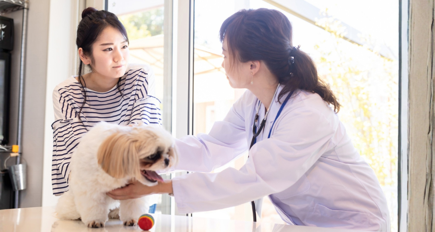 避妊去勢後の説明をする医師