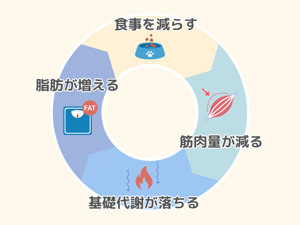 食事量を減らす→筋肉量が減る→基礎代謝が落ちる→脂肪が増える→食事を減らす（もとに戻る）のサイクル