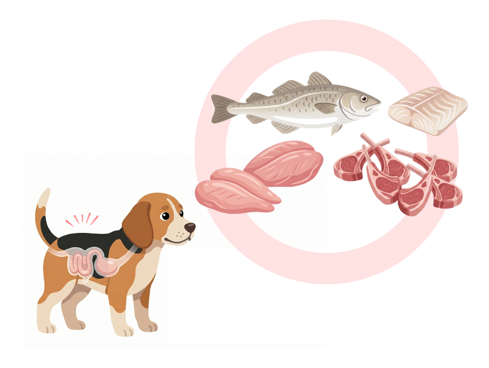 生肉、生魚は犬にとって最高の栄養源