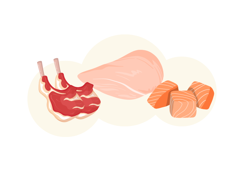 動物性たんぱく質のイラスト