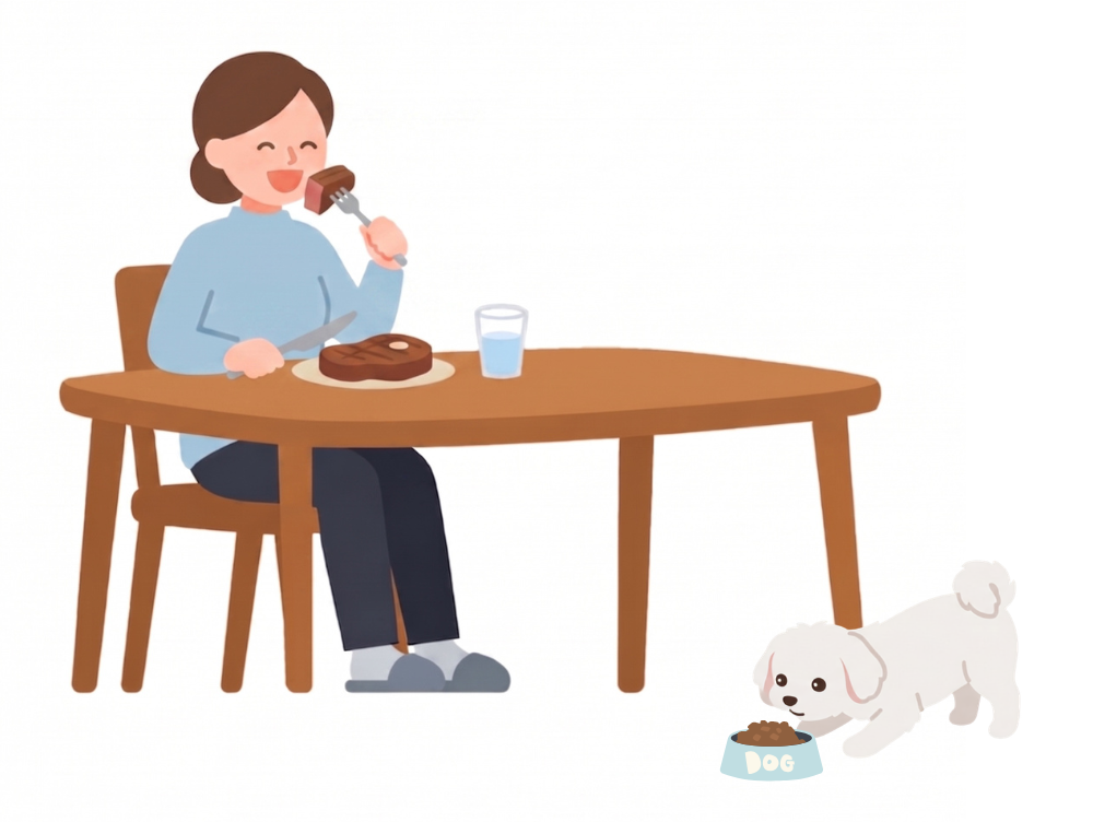 お肉を食べる女性と、ドッグフードを食べる小型犬